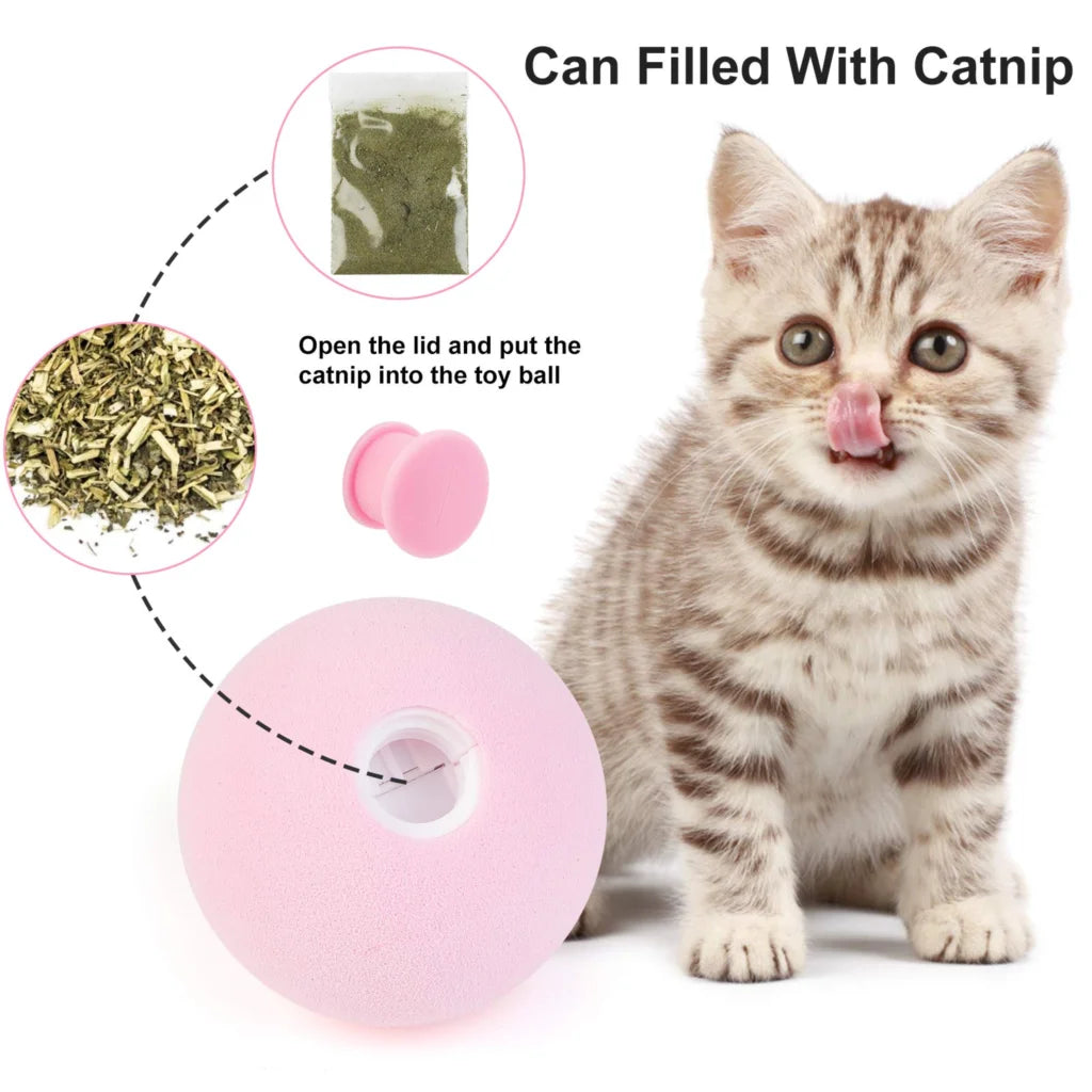 Squeaky Ball Toy - Fun for Cats