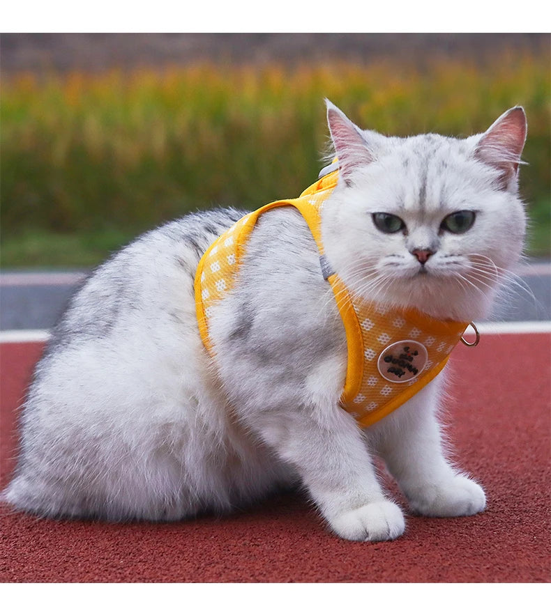 Cute Cat Harness