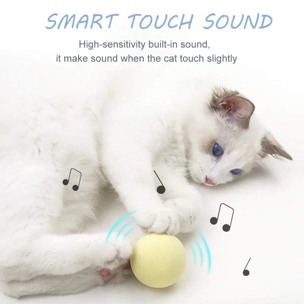 Squeaky Ball Toy - Fun for Cats