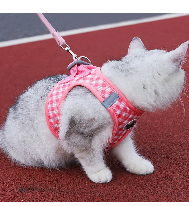 Cute Cat Harness