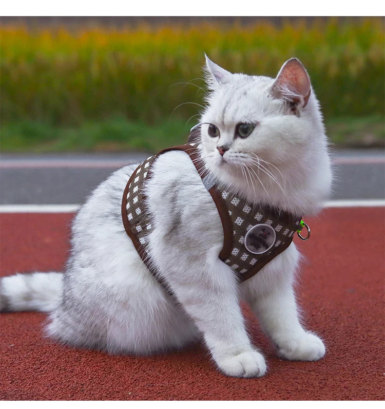 Cute Cat Harness