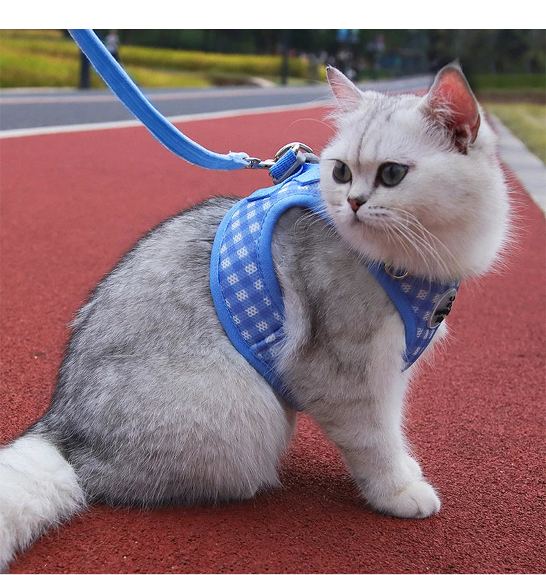 Cute Cat Harness