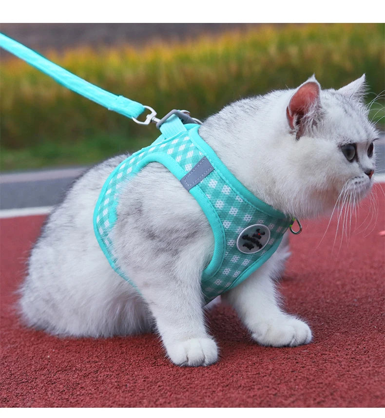 Cute Cat Harness